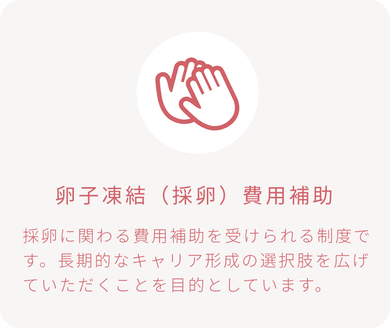 卵子凍結（採卵）費用補助